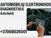 Autodiagnostika Kaune