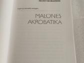 Malonės akrobatika - nuotraukos Nr. 2