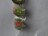 Sauliu zenklai