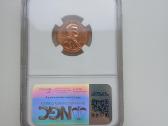 JAV 1 C Lincoln 2009 Early Childhood Rd - nuotraukos Nr. 2