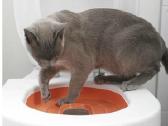 Cat toilet / kačių tualetas - nuotraukos Nr. 4