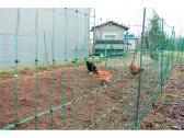 Elektrinis tinklas paukščiams (komplektas) - nuotraukos Nr. 2