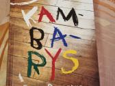 Kambarys