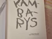 Kambarys - nuotraukos Nr. 2
