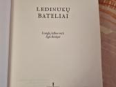 Ledinukų bateliai - nuotraukos Nr. 2