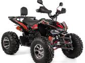 Benzininis keturratis XTR 015/10 Pro 250cc - nuotraukos Nr. 3