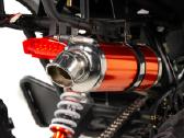 Benzininis keturratis XTR 015/10 Pro 250cc - nuotraukos Nr. 5