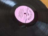 Lietuviškos vinilinės plokštelės - nuotraukos Nr. 6