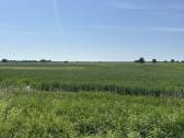 Parduodama Žemė – 1.17ha šalia Plūtiškių Km - nuotraukos Nr. 5