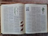 Tarybų Lietuvos enciklopedija, 4 tomai - nuotraukos Nr. 7
