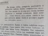 Knyga "Drąsusis kapitonas" - nuotraukos Nr. 5