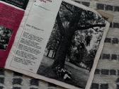 Žurnalas Nemunas 1984 metai - nuotraukos Nr. 2
