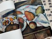 Paul Cezanne tapybos albumas