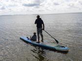 Starboard 14 X 31 Touring irklentė Sup