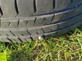 Padangos su ratlankiais VW 5*100, r16 65 195 - nuotraukos Nr. 3