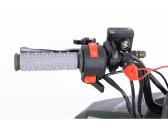 Benzininis keturratis Tao Mudhawk 110cc - nuotraukos Nr. 3