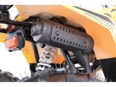Benzininis keturratis Tao Mudhawk 110cc - nuotraukos Nr. 6
