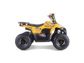 Benzininis keturratis Tao Mudhawk 110cc - nuotraukos Nr. 7
