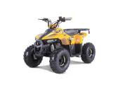 Benzininis keturratis Tao Mudhawk 110cc
