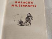Malacho milžinkapis - nuotraukos Nr. 2