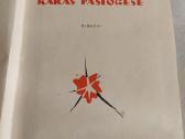 Karas pastogėse - nuotraukos Nr. 2