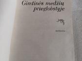 Gimtinės medžių prieglobstyje - nuotraukos Nr. 2