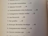 Stiprusis angelas - nuotraukos Nr. 3