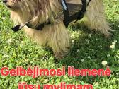 Baidarių, Irklencių, Stovyklavietes, Sodybos nuoma - nuotraukos Nr. 19