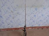 Antenos