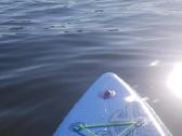 Starboard Astro Touring Sup lenta - nuotraukos Nr. 2