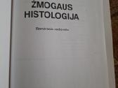 Žmogaus histologija - nuotraukos Nr. 2