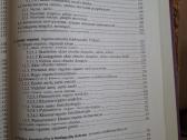 Žmogaus histologija - nuotraukos Nr. 5