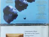 Pigūs CD-2 - nuotraukos Nr. 10
