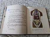 S.molis, B.rimkevičienė "Gamtos pažinimas" 3 kl. - nuotraukos Nr. 8