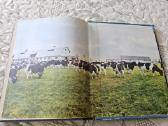 S.molis, B.rimkevičienė "Gamtos pažinimas" 3 kl. - nuotraukos Nr. 10