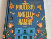 Puolusių angelų namai