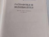 Pažemintieji ir nuskriaustieji - nuotraukos Nr. 2