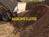 Vilniuje ir Vilniaus r. Pristatom biriąsias m. . - nuotraukos Nr. 10