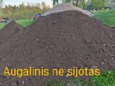 Vilniuje ir Vilniaus r. Pristatom biriąsias m. . - nuotraukos Nr. 13