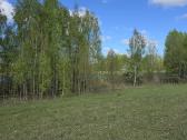 Žemės sklypas prie Ilgio ežero - nuotraukos Nr. 13