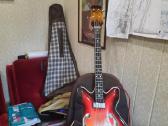 Vintažinės gitaros - nuotraukos Nr. 3