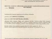 Transporto vadybininkas krovinių vežimo licencijai - nuotraukos Nr. 2