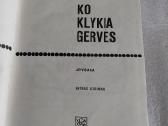 Ko klykia gervės - nuotraukos Nr. 2