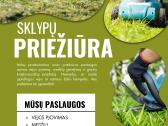 Sklypų priežiūra, vejos pjovimas