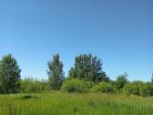 1,33ha sklypas prie Šiaulių jūros - nuotraukos Nr. 18