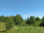 1,33ha sklypas prie Šiaulių jūros - nuotraukos Nr. 19
