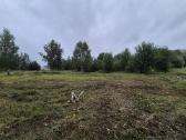 Aplinkos tvarkymas - nuotraukos Nr. 3