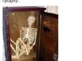 Pvc Realistiški Skeletai, lankstūs sąnariai - nuotraukos Nr. 6