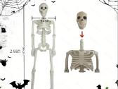 Pvc Realistiški Skeletai, lankstūs sąnariai - nuotraukos Nr. 8