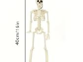 Pvc Realistiški Skeletai, lankstūs sąnariai - nuotraukos Nr. 11